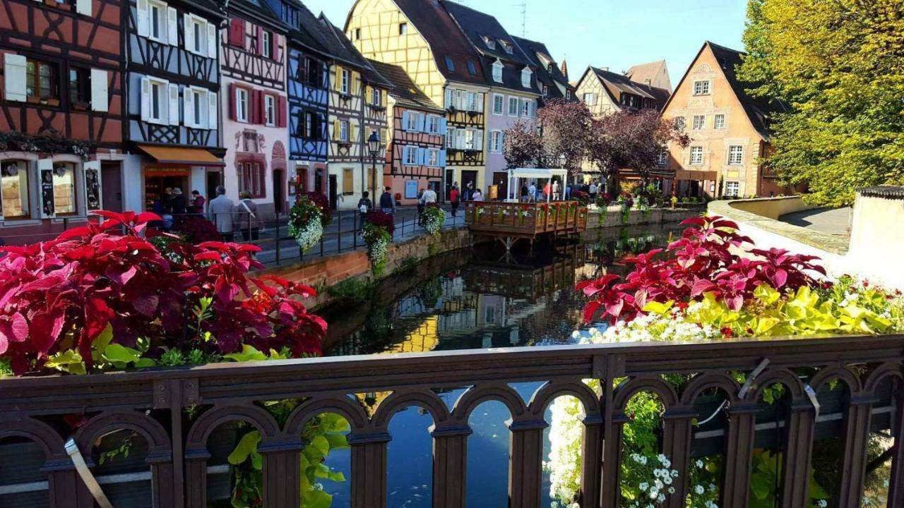 Gite "Au Petit Bonheur" Colmar Exterior foto